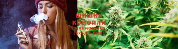 прущие грибы Аркадак