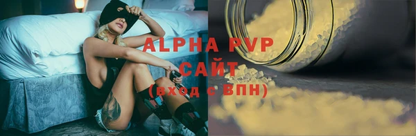 прущие грибы Аркадак